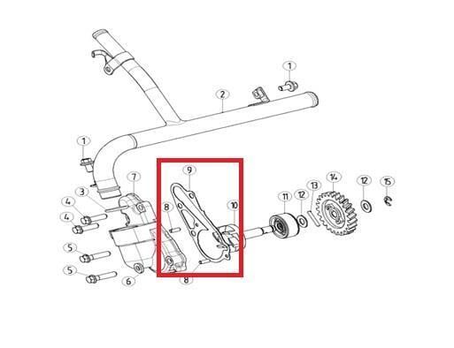 Kayo Kt 250 - Yuki Conta B3