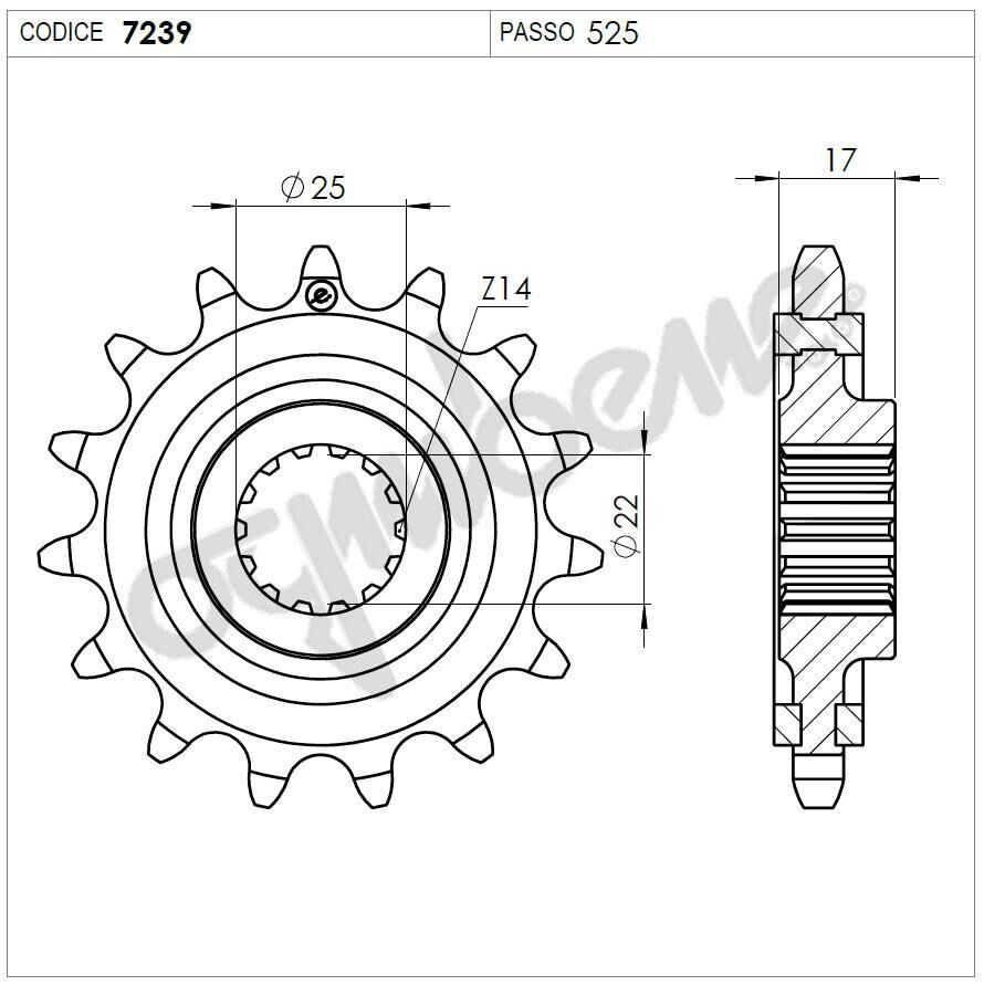 Ducatı Panıgaleognıbene Ön Dişli 15T