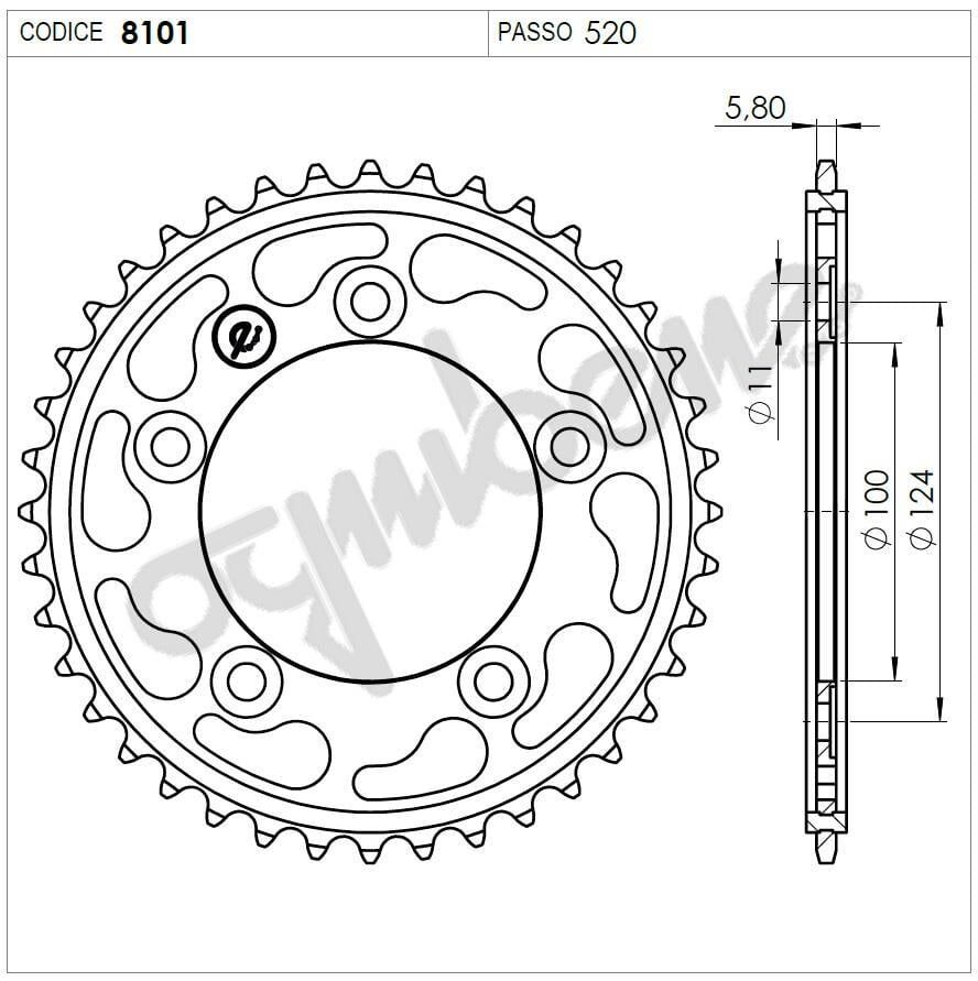 Ducatı 899 Panıgale Ognıbene Arka Dişli 46T