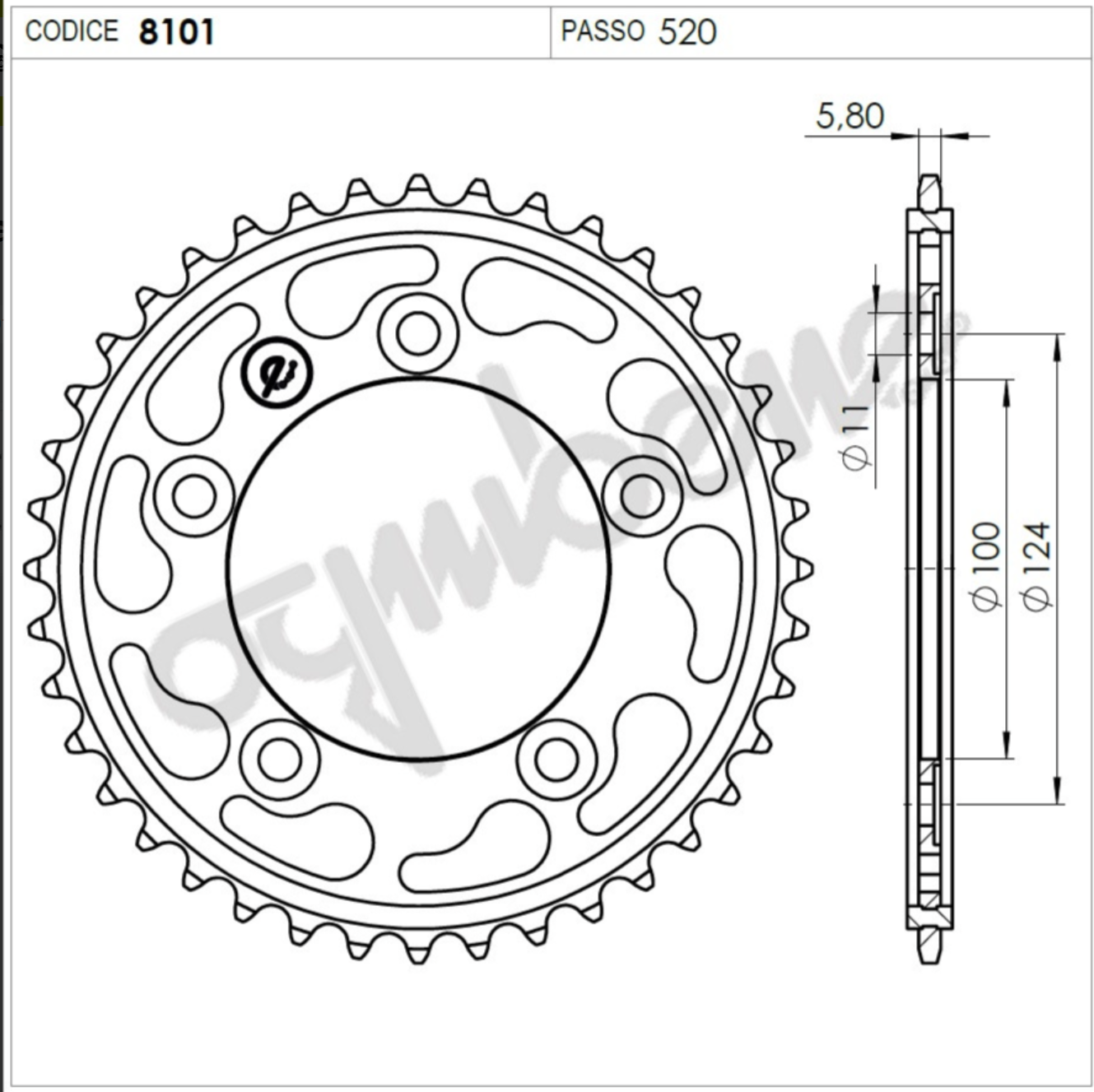 Ognıbene Arka Dişli 44T