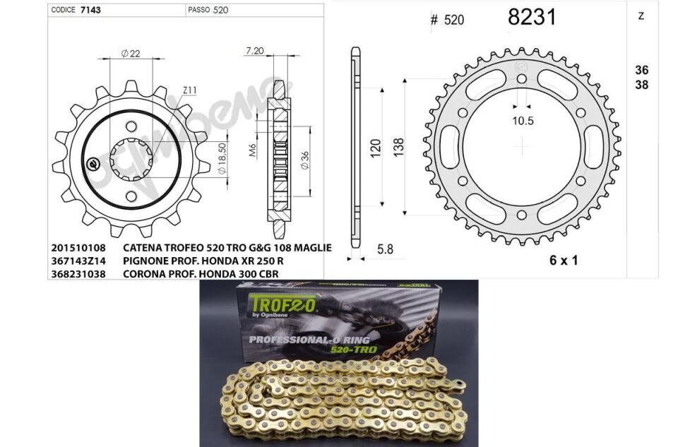 TROFEO DİŞLİ ZİNCİR KİT HONDA 250 CBR R