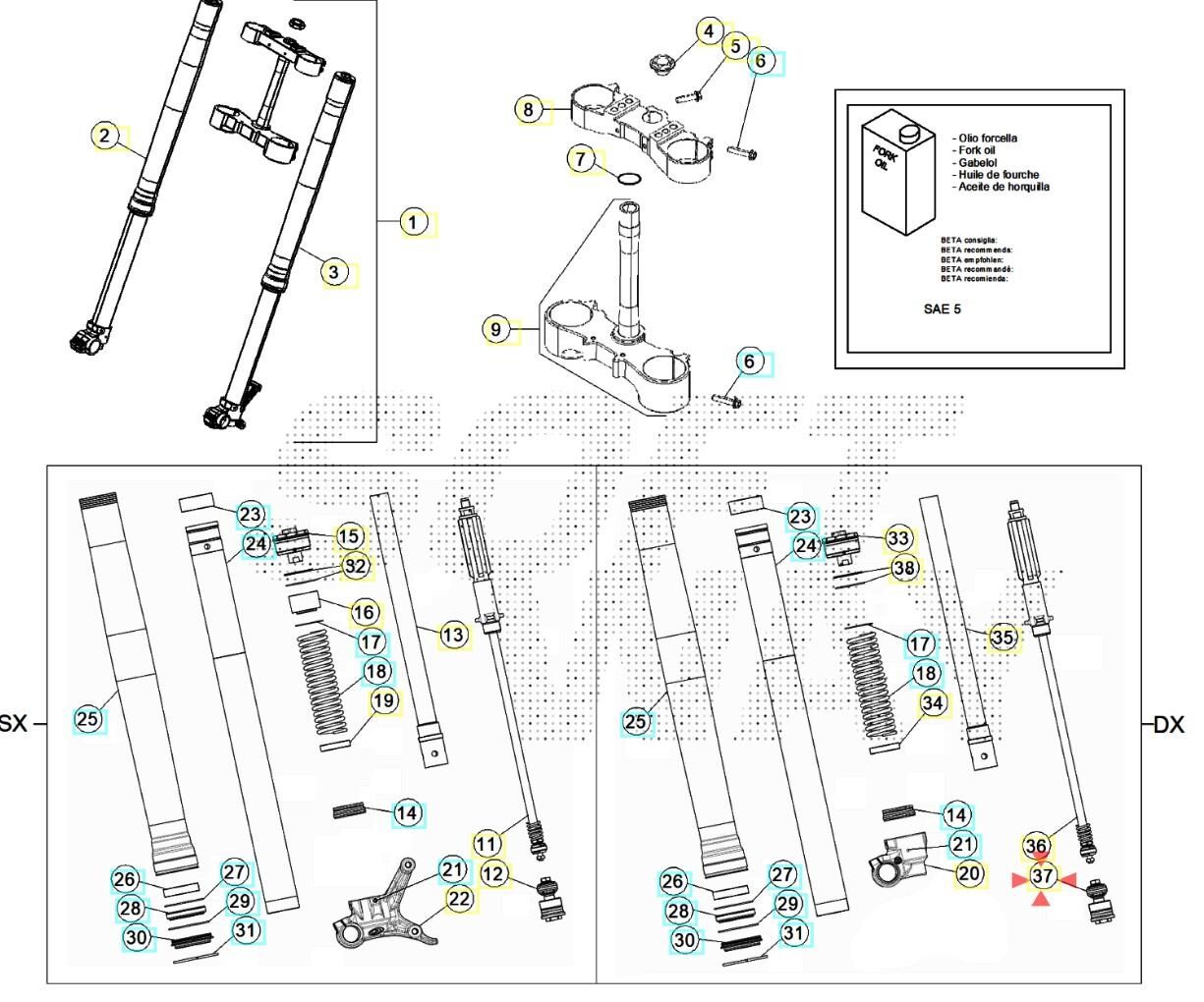 Compressıon Beta Orj Yp B12-1